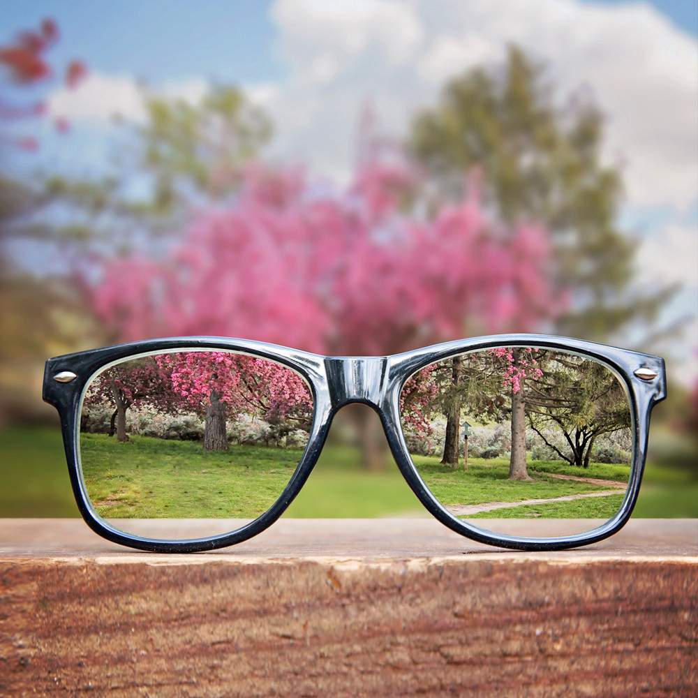 Scenic shot of trees through lens of a pair of glasses
